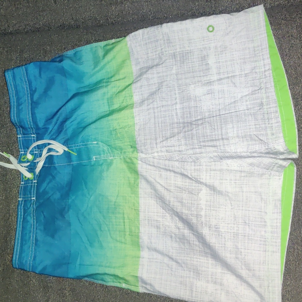 Men's Speedo swim shorts